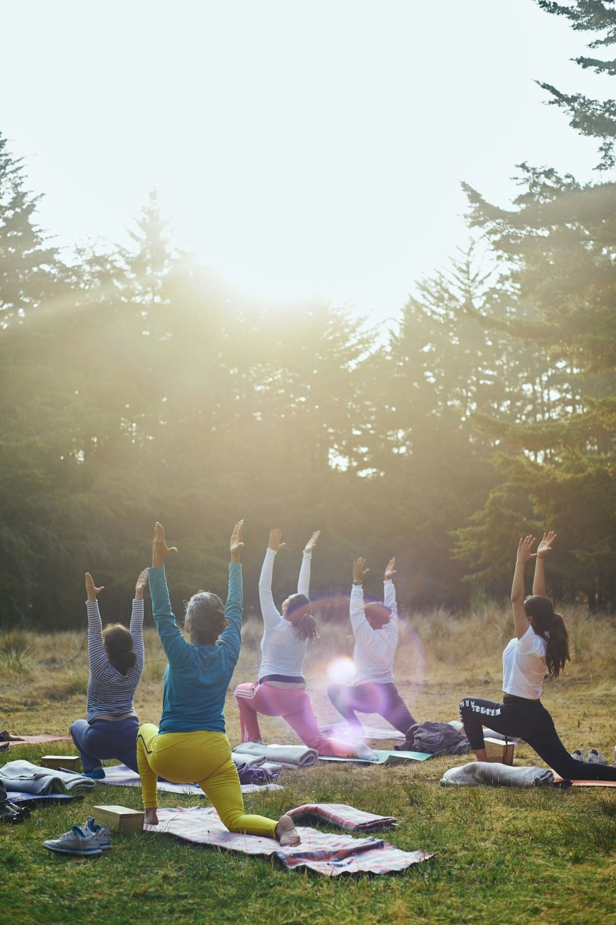 A group raising their arms together in early morning sunlight among trees